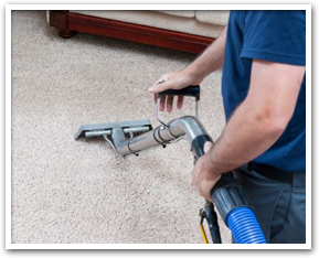 professional carpet cleaners